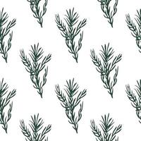 Seamless pattern with green rosemary branch elements. White background. Isolated nature backdrop. vector