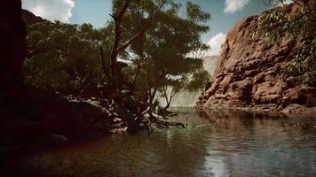 reflection in Colorado River in Grand Canyon video