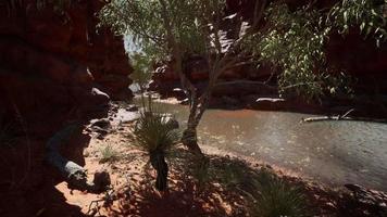 reflection in Colorado River in Grand Canyon video