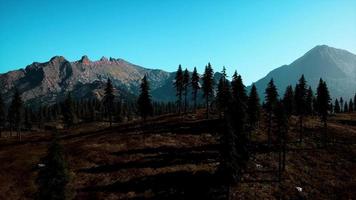 vue paysage de la chaîne de montagnes avec des arbres à l'automne video
