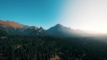 Aerial view over Mountain range with pine forest in Bavaria video