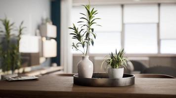 planta de casa com vaso de flores branco na mesa de madeira video