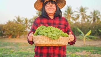 A female farmer collects her vegetables and produce in the fields. video