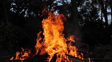 brända träpaneler. en vedhög brann i brand. video