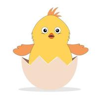 Small yellow chick in an eggshell. Cartoon vector character on white isolated background.