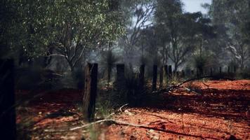 Dingoe fence in the Australian Outback video