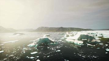 snowy mountains and drifting icebergs in the Greenland Sea video