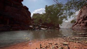 Colorado river with red stones and trees photo