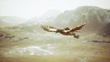 extreme slow motion shot of eagle photo