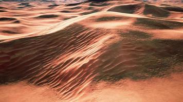 beautiful sand dunes in the Sahara desert photo