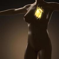 science anatomy of human body with glow heart photo