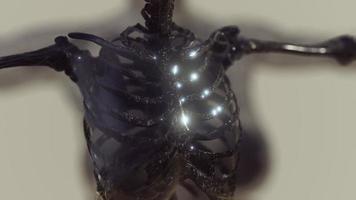 cuerpo humano transparente con huesos esqueléticos visibles foto