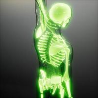 Transparent Human Body with Visible Bones photo