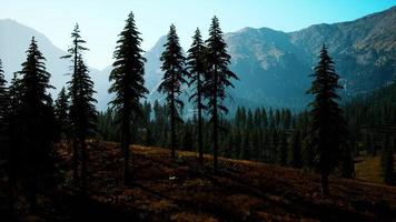 Rocky mountain range with trees photo