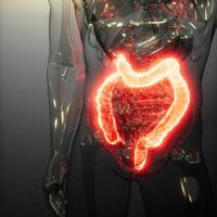 examen de radiología de colon humano foto