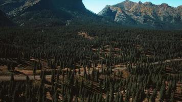 vista aérea de la carretera de montaña y el bosque video