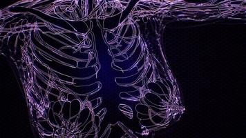 corpo umano trasparente con ossa visibili video