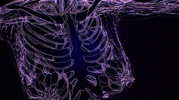 Transparent Human Body with Visible Bones video