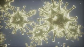 Bacteria virus or germs microorganism cells under microscope with depth video