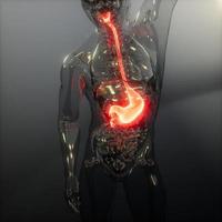 examen de radiología del estómago humano foto