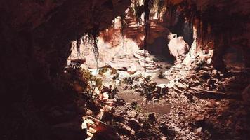 la vue à l'intérieur de la grotte des fées couverte de plantes vertes auto-éclairantes video