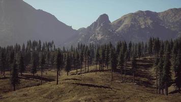 vue paysage de la chaîne de montagnes avec des arbres à l'automne