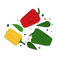 Bell peppers and leaves. Hand draw vegetable print. vector