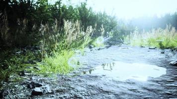 Puddles and mud and green grass on a dirt road photo