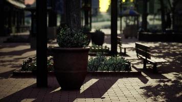 empty city park during the covid 19 pandemic photo