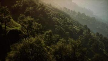 matin d'automne avec brouillard dans les montagnes video