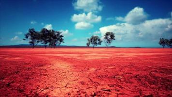 droogte land zonder water video