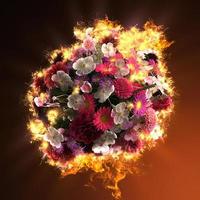 bouquet of flowers in fire photo