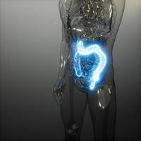 examen de radiología de colon humano foto