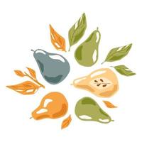 Composition pears on white background. Pear whole, half, green, blue, yellow, orange, leaves and foliage with twig sketch hand drawn in style doodle. vector