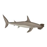 Hammerhead shark isolated on white background. Cartoon character of ocean for children. vector