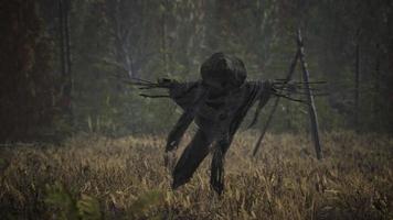 terrible scarecrow in dark cloak and dirty hat stands alone in autumn field photo