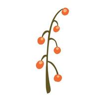 Berries on twig isolated on white background. Abstract botanical berry red color sketch hand drawn in style doodle. vector