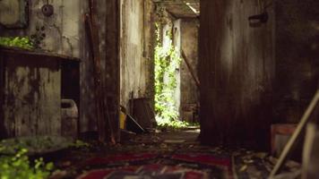 ruined abandoned overgrown by plants interior video