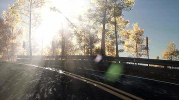 mouvement de caméra par route dans la forêt et le soleil qui brille à travers le feuillage video