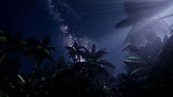 4k Astro der Milchstraßengalaxie über tropischem Regenwald.