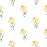 Vintage floral seamless pattern with yellow cute daisy flowers print. Isolated natural ornament. vector