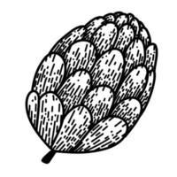 Pine cone in cartoon doodle style on white background. Sketch drawing, linear illustration vector