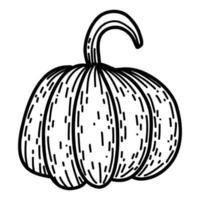 Pumpkin in hand drawn doodle style. Linear autumn vector illustration