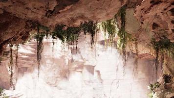 dentro de uma caverna de calcário com plantas e brilho do sol