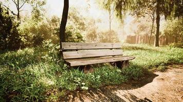 Wooden bench in nature by the tree video