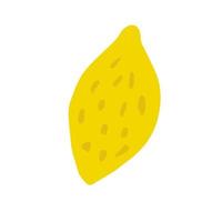 Hand drawn yellow lemon isolated on white background. Fresh organic citrus vector