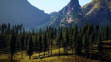 Rocky mountain range with trees video