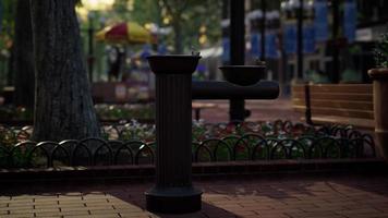 quiet city park with trees and benches video