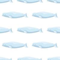 Seamless pattern Beluga on white background. Template of cartoon character of ocean for children. vector