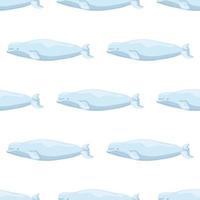 Seamless pattern Beluga on white background. Template of cartoon character of ocean for children. vector